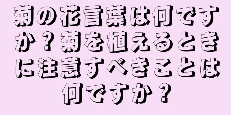 菊の花言葉は何ですか？菊を植えるときに注意すべきことは何ですか？