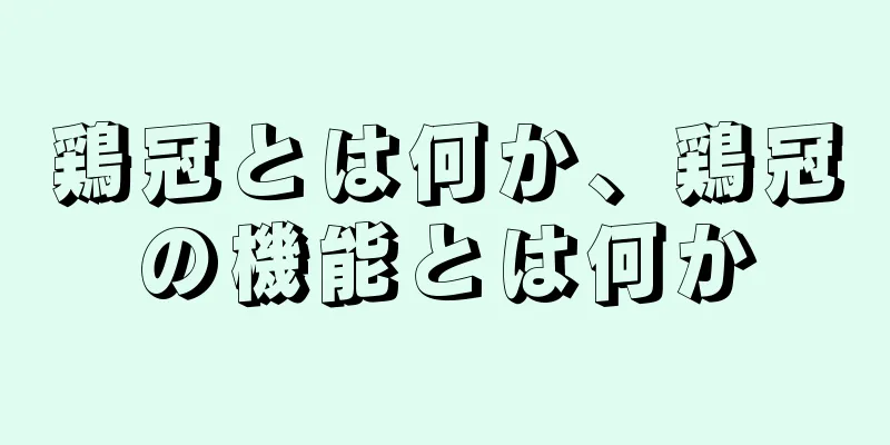 鶏冠とは何か、鶏冠の機能とは何か