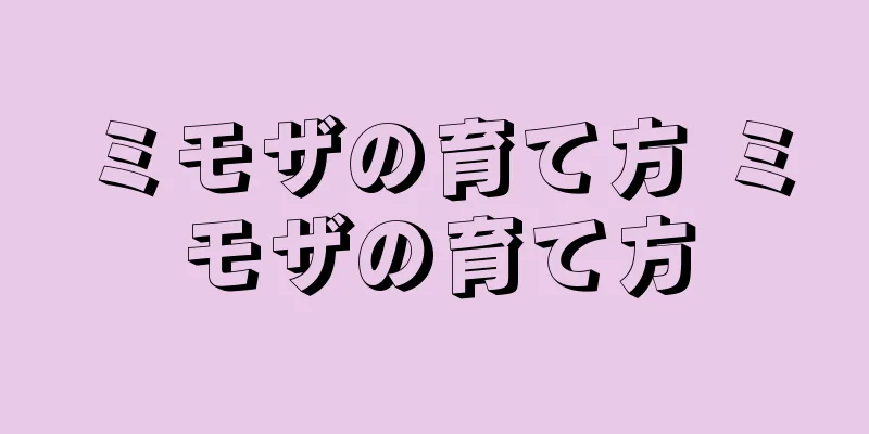 ミモザの育て方 ミモザの育て方