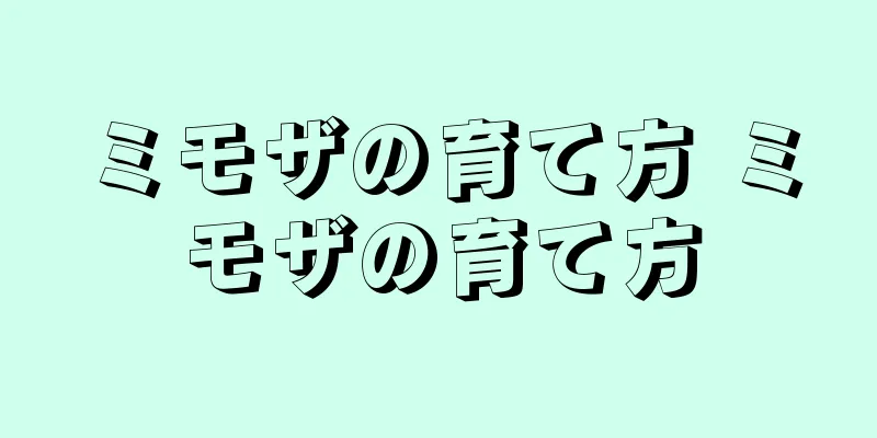 ミモザの育て方 ミモザの育て方