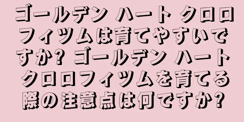 ゴールデン ハート クロロフィツムは育てやすいですか? ゴールデン ハート クロロフィツムを育てる際の注意点は何ですか?