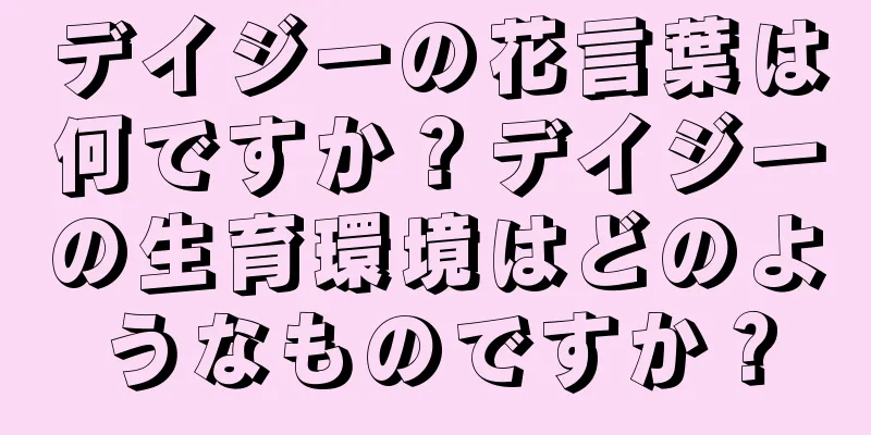 デイジーの花言葉は何ですか？デイジーの生育環境はどのようなものですか？
