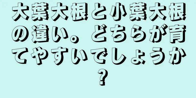 大葉大根と小葉大根の違い。どちらが育てやすいでしょうか？