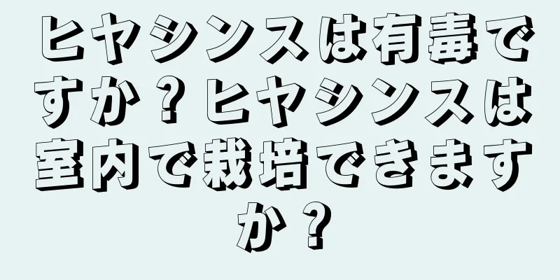 ヒヤシンスは有毒ですか？ヒヤシンスは室内で栽培できますか？