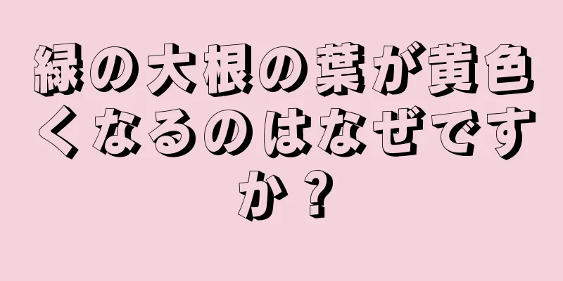 緑の大根の葉が黄色くなるのはなぜですか？