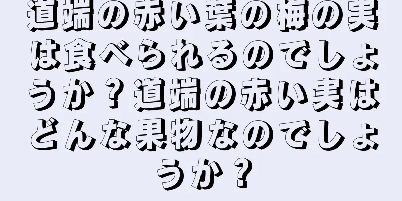 道端の赤い葉の梅の実は食べられるのでしょうか？道端の赤い実はどんな果物なのでしょうか？