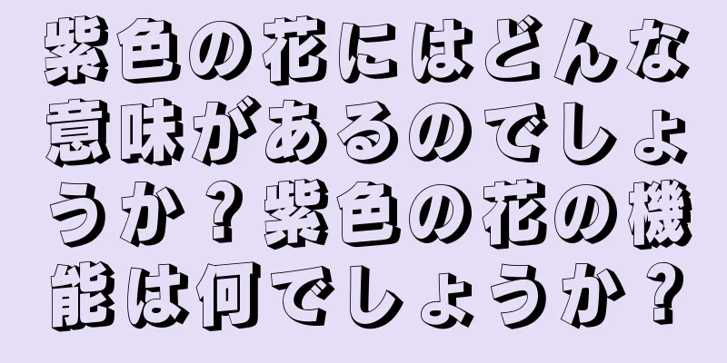 紫色の花にはどんな意味があるのでしょうか？紫色の花の機能は何でしょうか？