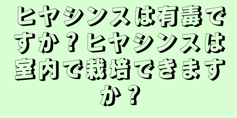 ヒヤシンスは有毒ですか？ヒヤシンスは室内で栽培できますか？