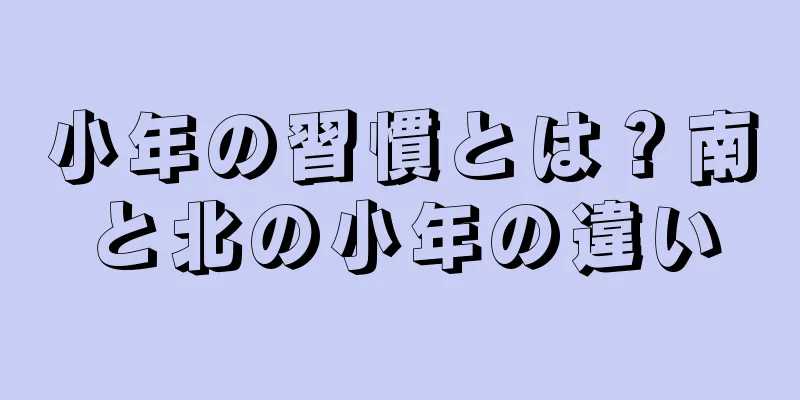 小年の習慣とは？南と北の小年の違い