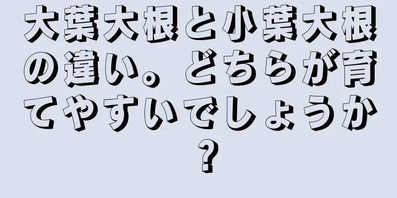 大葉大根と小葉大根の違い。どちらが育てやすいでしょうか？