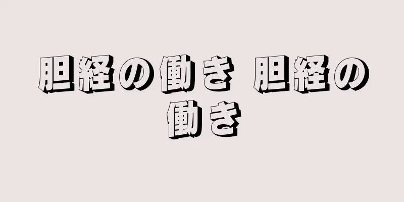 胆経の働き 胆経の働き