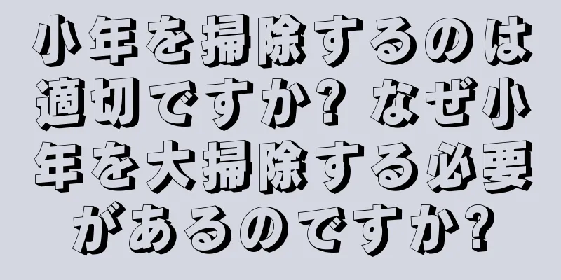 小年を掃除するのは適切ですか? なぜ小年を大掃除する必要があるのですか?