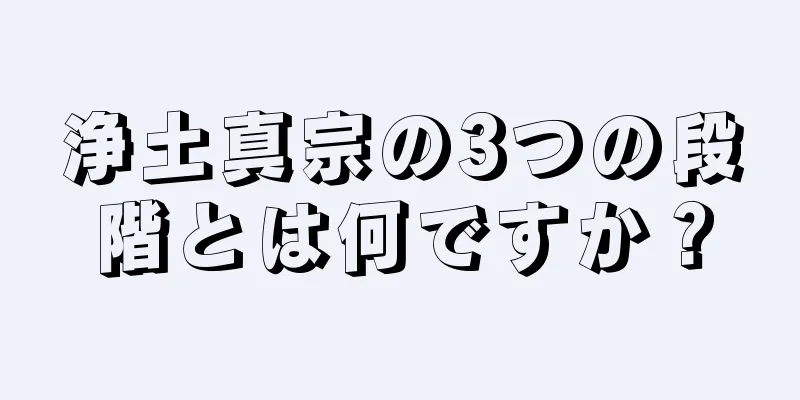 浄土真宗の3つの段階とは何ですか？