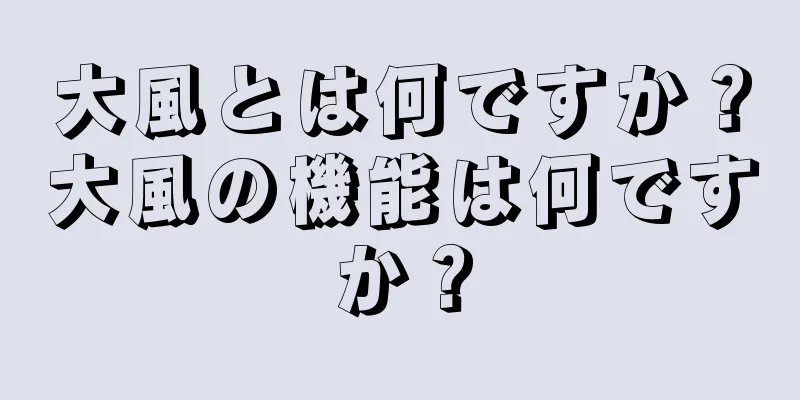 大風とは何ですか？大風の機能は何ですか？