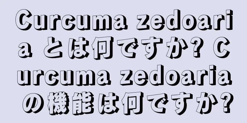 Curcuma zedoaria とは何ですか? Curcuma zedoaria の機能は何ですか?