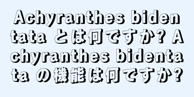 Achyranthes bidentata とは何ですか? Achyranthes bidentata の機能は何ですか?