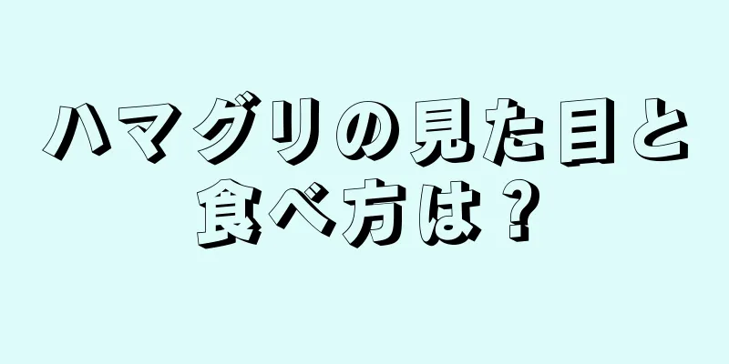 ハマグリの見た目と食べ方は？