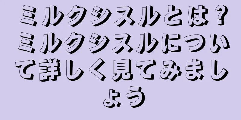 ミルクシスルとは？ミルクシスルについて詳しく見てみましょう