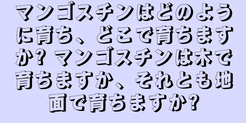 マンゴスチンはどのように育ち、どこで育ちますか? マンゴスチンは木で育ちますか、それとも地面で育ちますか?