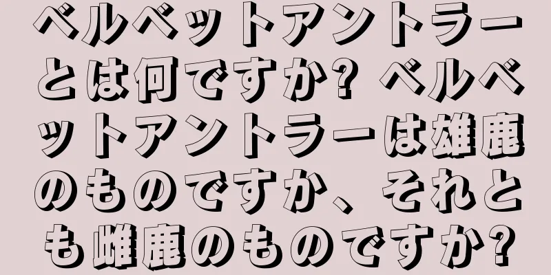 ベルベットアントラーとは何ですか? ベルベットアントラーは雄鹿のものですか、それとも雌鹿のものですか?