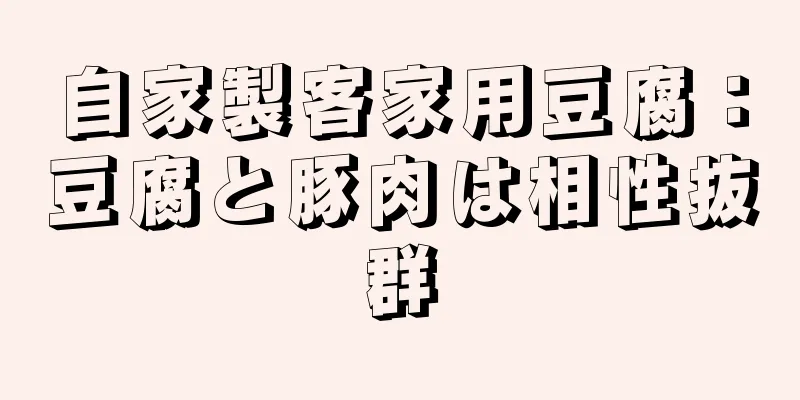 自家製客家用豆腐：豆腐と豚肉は相性抜群